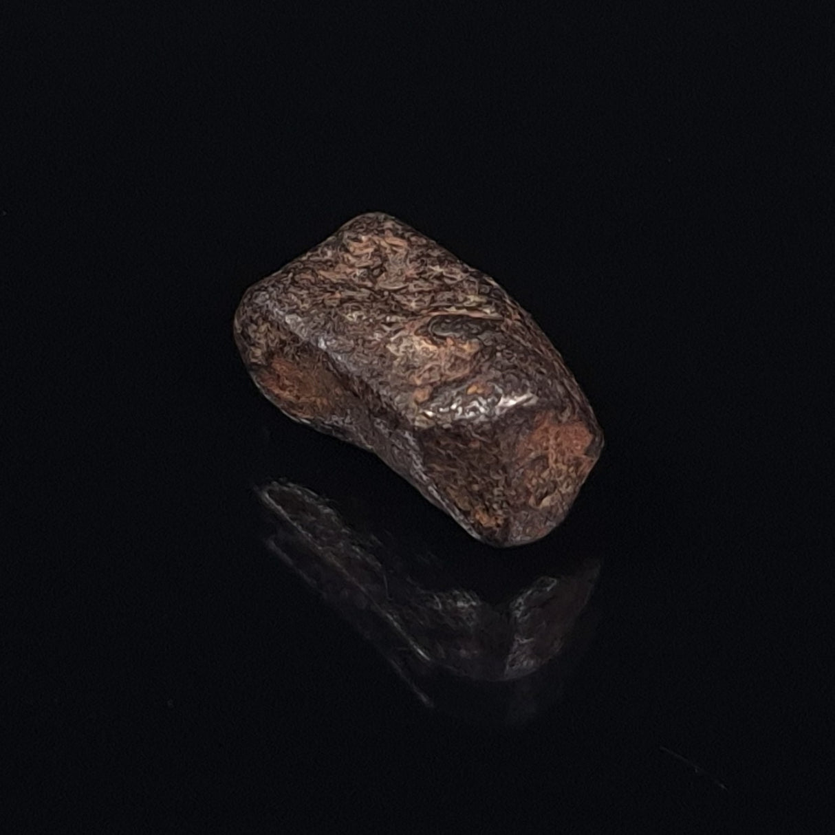 MUNDRABILLA METEORITE, Western Australia XMM010