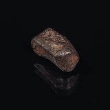 MUNDRABILLA METEORITE, Western Australia XMM010