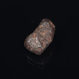 MUNDRABILLA METEORITE, Western Australia XMM010