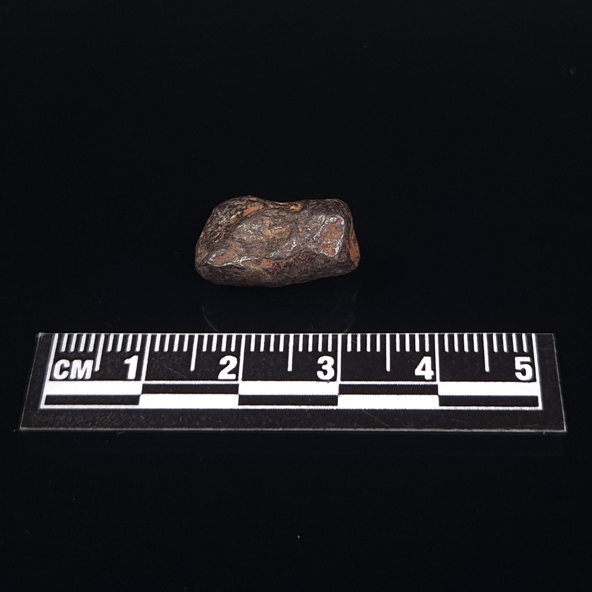 MUNDRABILLA METEORITE, Western Australia XMM010