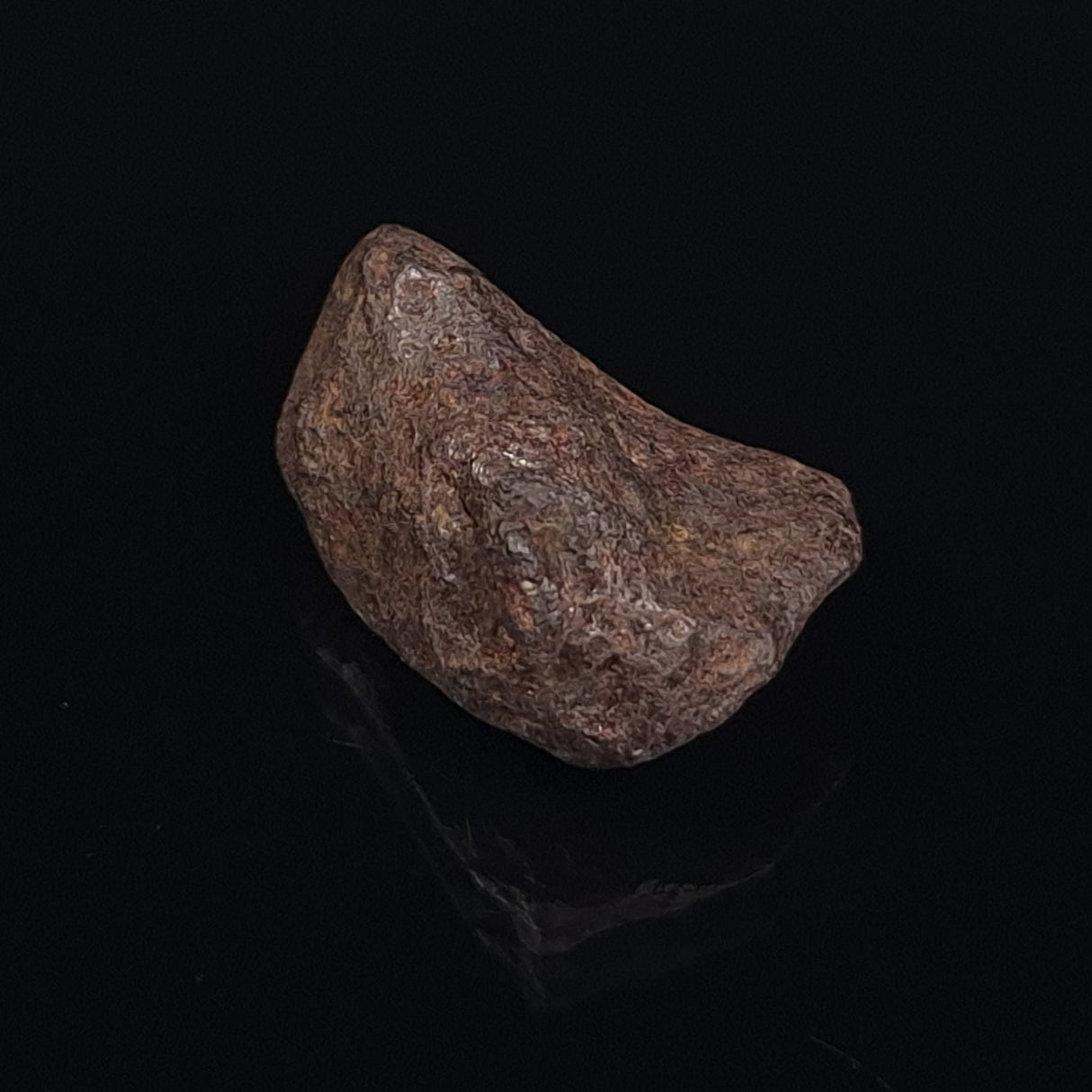MUNDRABILLA METEORITE, Western Australia XMM011