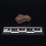 MUNDRABILLA METEORITE, Western Australia XMM011