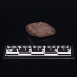 MUNDRABILLA METEORITE, Western Australia XMM012