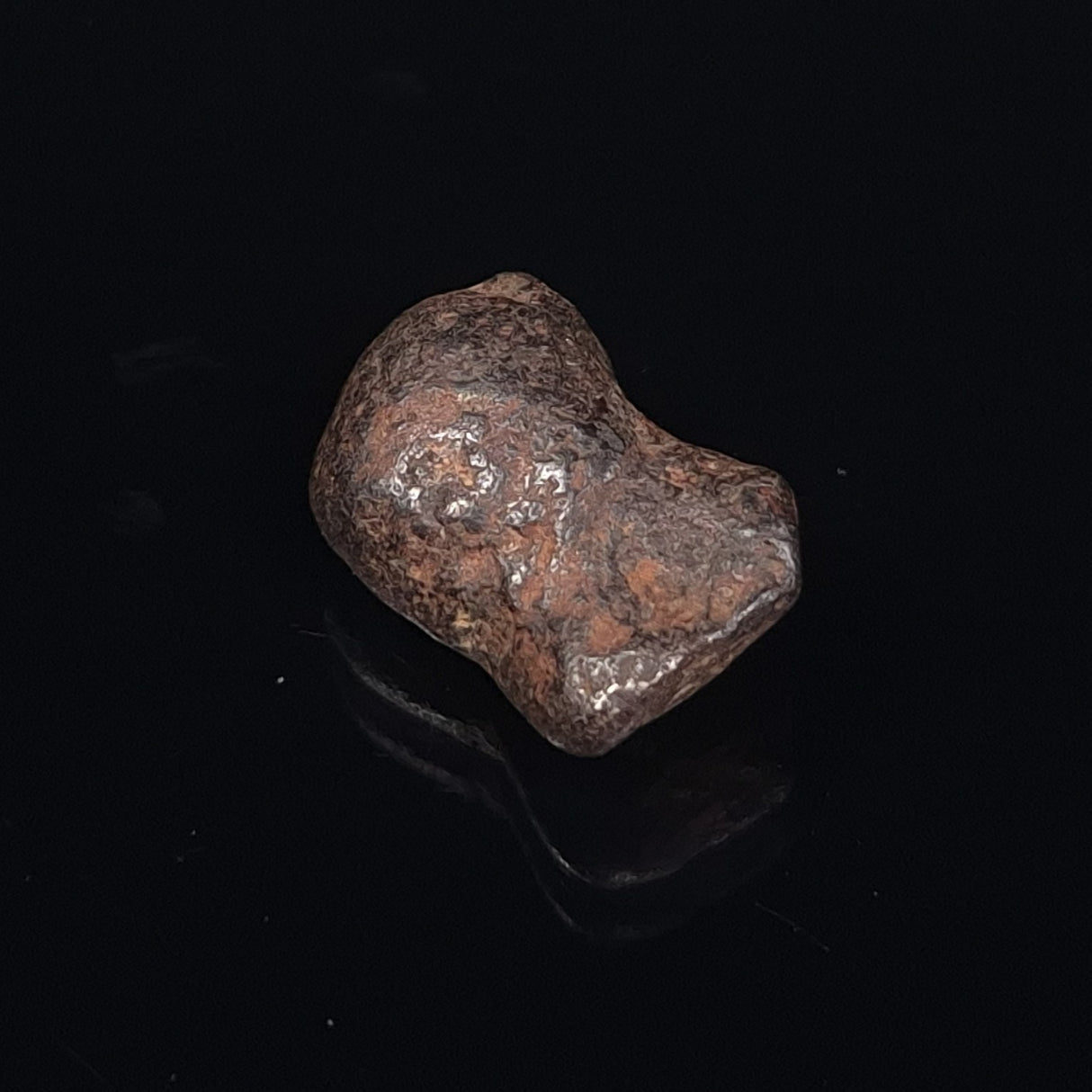 MUNDRABILLA METEORITE, Western Australia XMM013