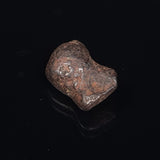 MUNDRABILLA METEORITE, Western Australia XMM013