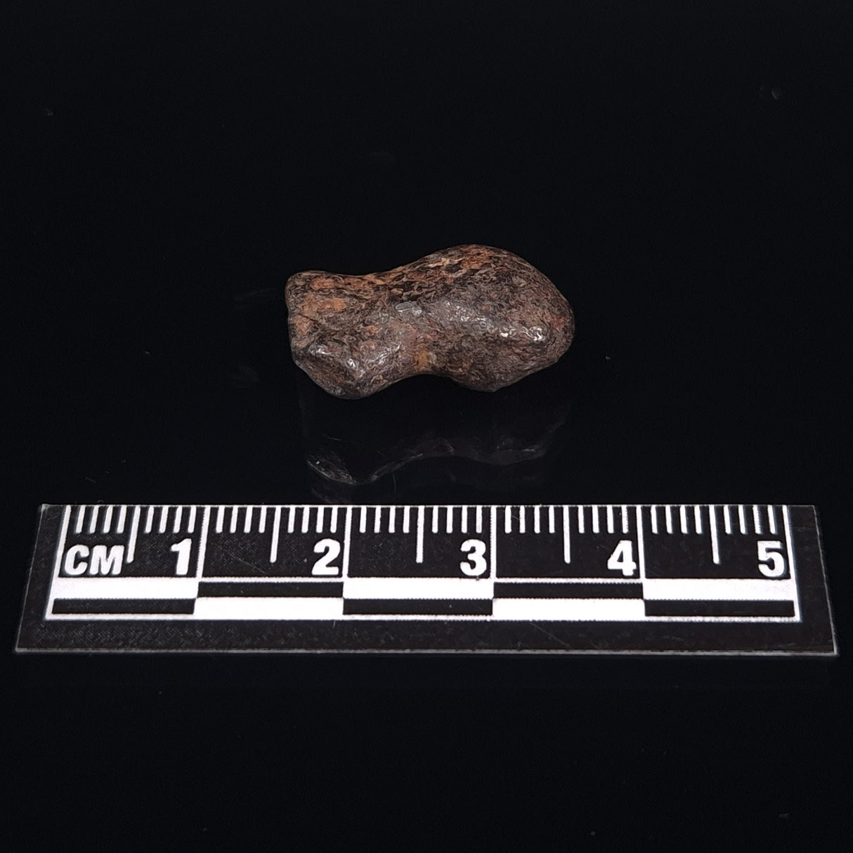 MUNDRABILLA METEORITE, Western Australia XMM013
