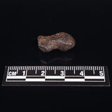 MUNDRABILLA METEORITE, Western Australia XMM013