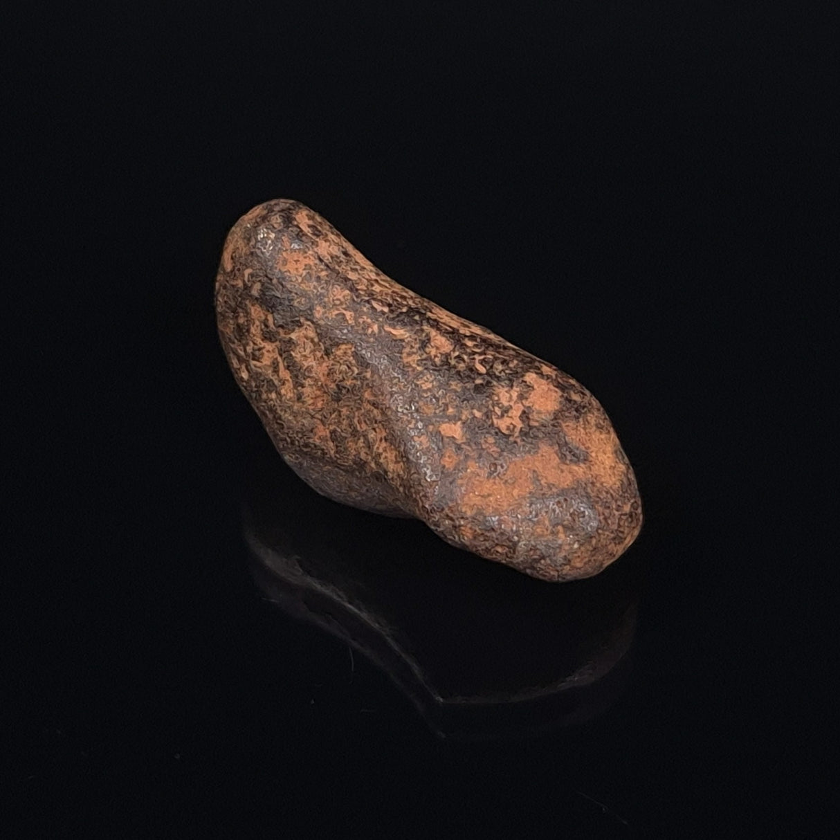 MUNDRABILLA METEORITE, Western Australia XMM014