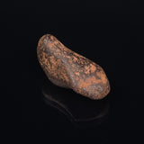 MUNDRABILLA METEORITE, Western Australia XMM014