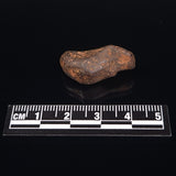 MUNDRABILLA METEORITE, Western Australia XMM014