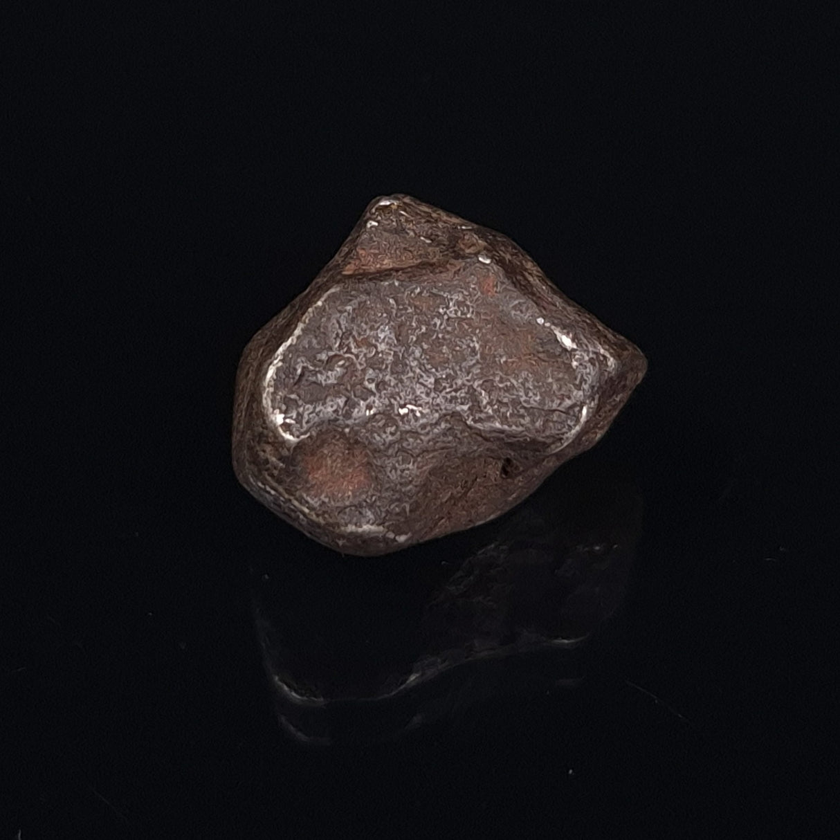 MUNDRABILLA METEORITE, Western Australia XMM015