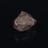 MUNDRABILLA METEORITE, Western Australia XMM015