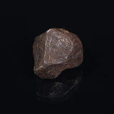 MUNDRABILLA METEORITE, Western Australia XMM015