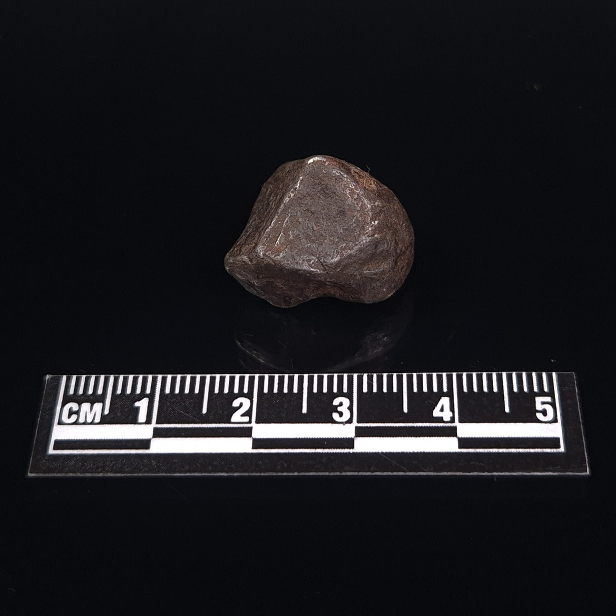 MUNDRABILLA METEORITE, Western Australia XMM015