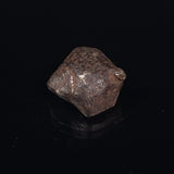 MUNDRABILLA METEORITE, Western Australia XMM016