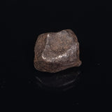 MUNDRABILLA METEORITE, Western Australia XMM016