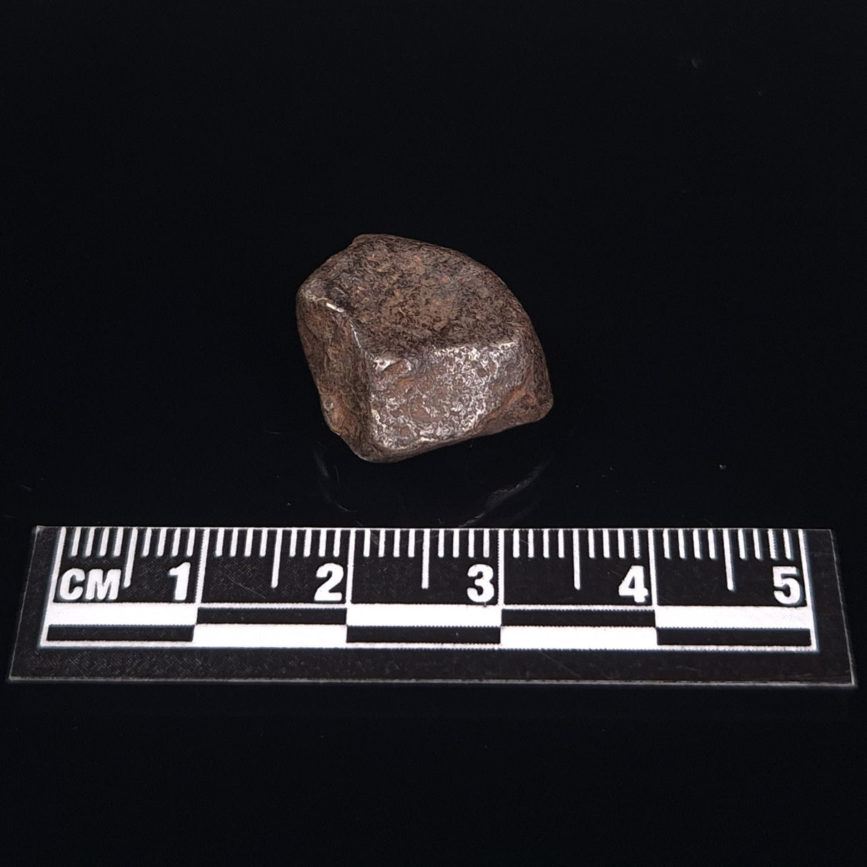 MUNDRABILLA METEORITE, Western Australia XMM016
