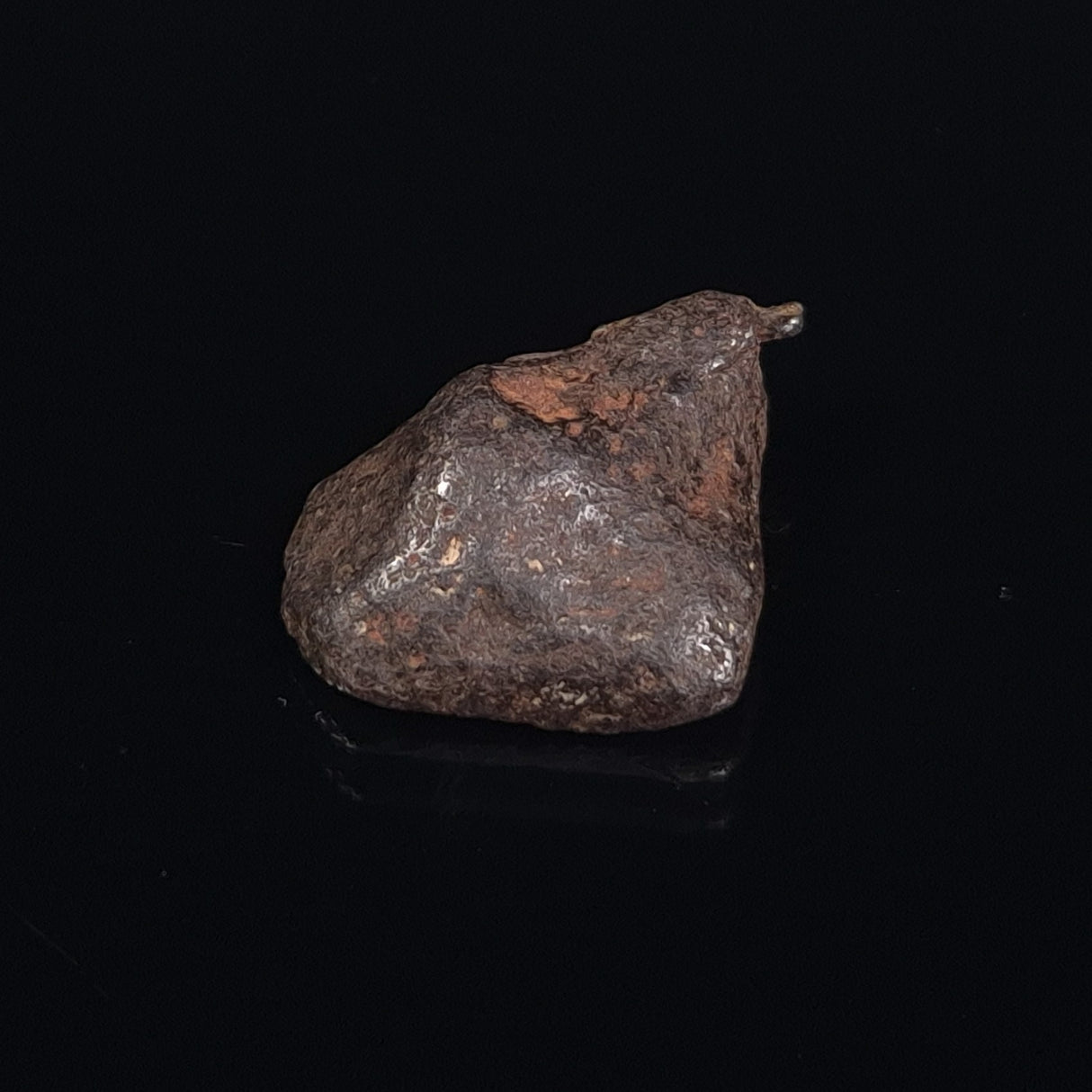 MUNDRABILLA METEORITE, Western Australia XMM017