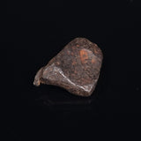 MUNDRABILLA METEORITE, Western Australia XMM017