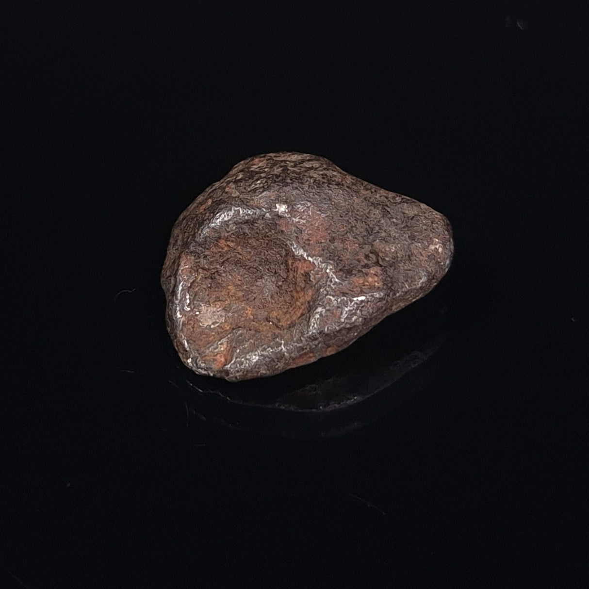 MUNDRABILLA METEORITE, Western Australia XMM018