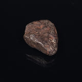MUNDRABILLA METEORITE, Western Australia XMM018