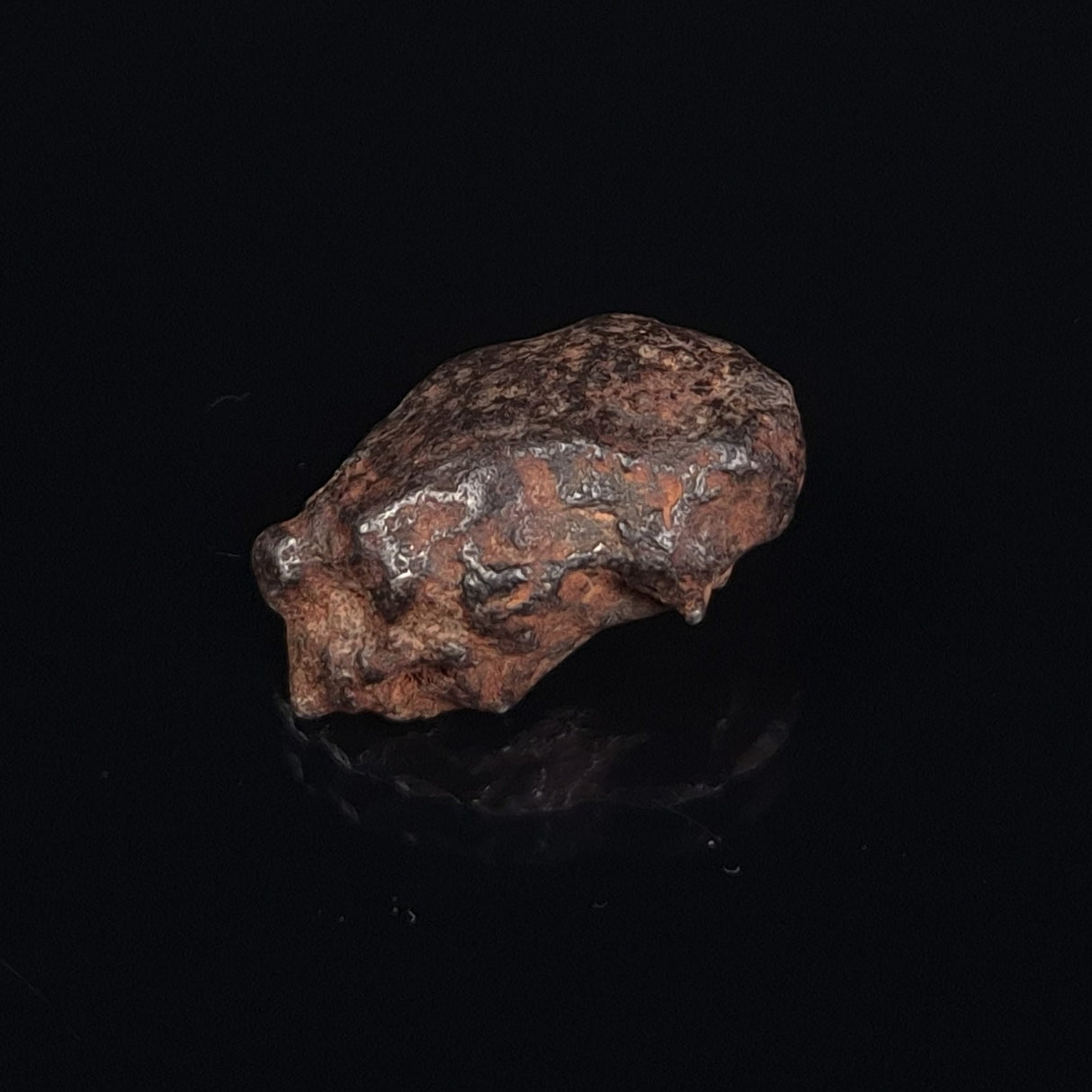 MUNDRABILLA METEORITE, Western Australia XMM019