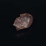 MUNDRABILLA METEORITE, Western Australia XMM019