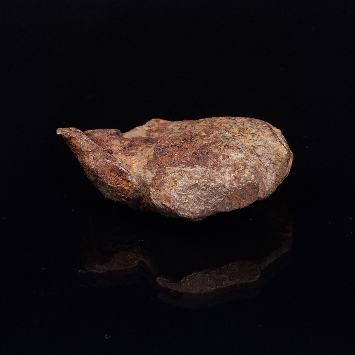GEBEL KAMIL METEORITE, Egypt XGK001