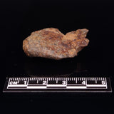 GEBEL KAMIL METEORITE, Egypt XGK001