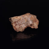 GEBEL KAMIL METEORITE, Egypt XGK003