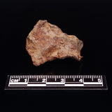 GEBEL KAMIL METEORITE, Egypt XGK003