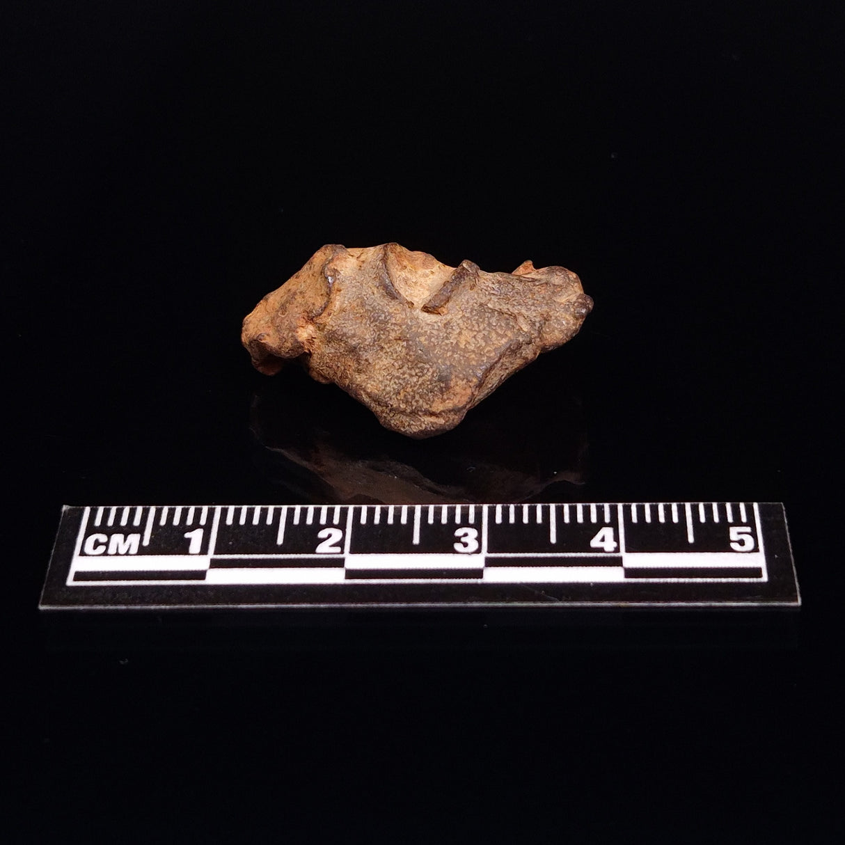 GEBEL KAMIL METEORITE, Egypt XGK006