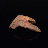 GEBEL KAMIL METEORITE, Egypt XGK007