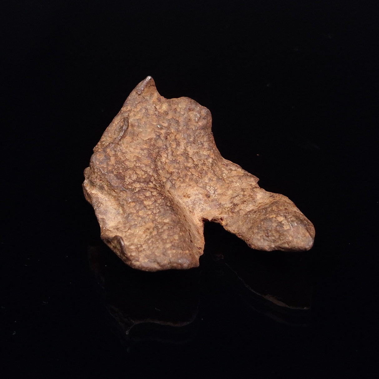 GEBEL KAMIL METEORITE, Egypt XGK007