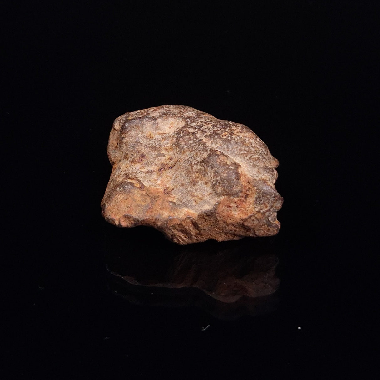 GEBEL KAMIL METEORITE, Egypt XGK009