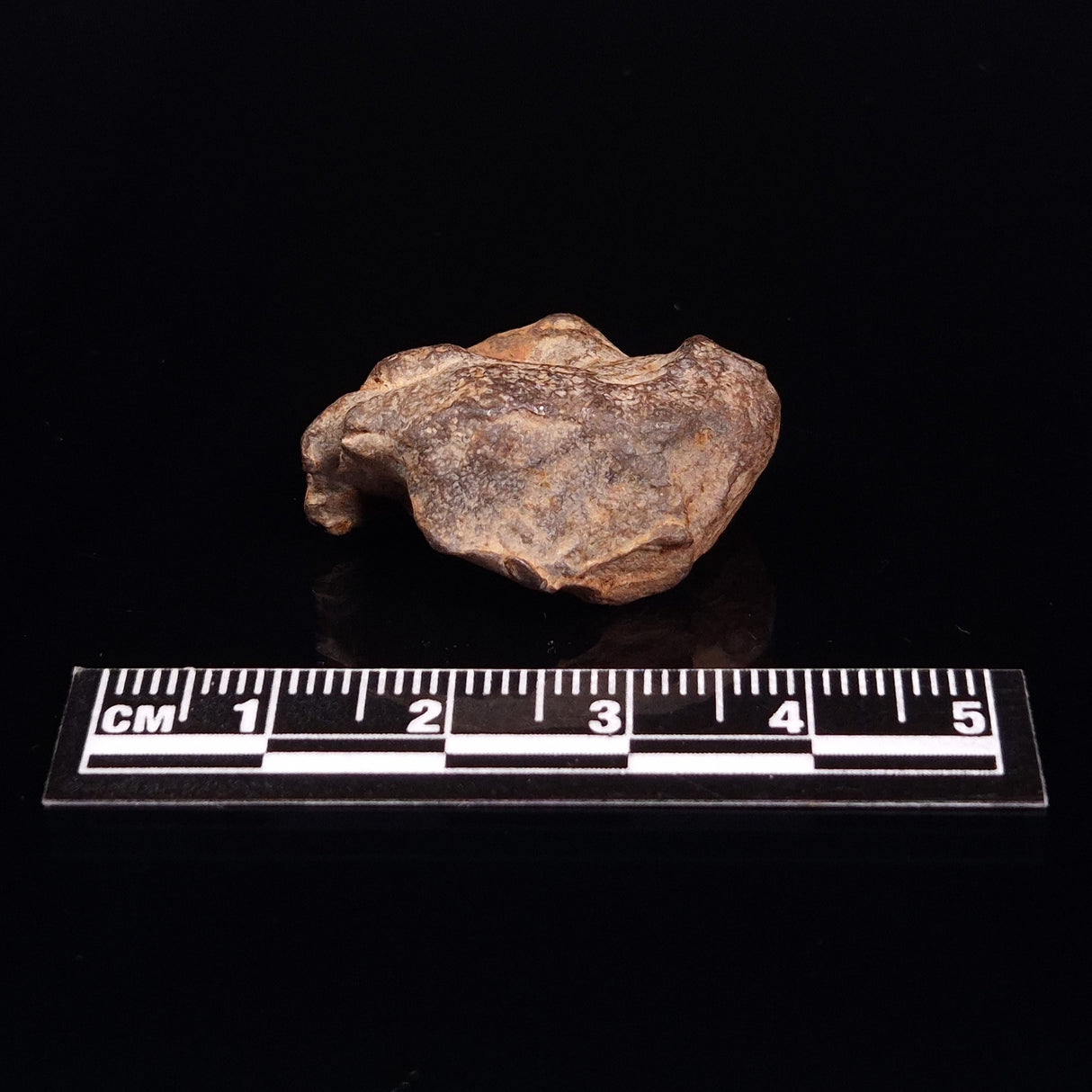 GEBEL KAMIL METEORITE, Egypt XGK009