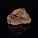GEBEL KAMIL METEORITE, Egypt XGK010