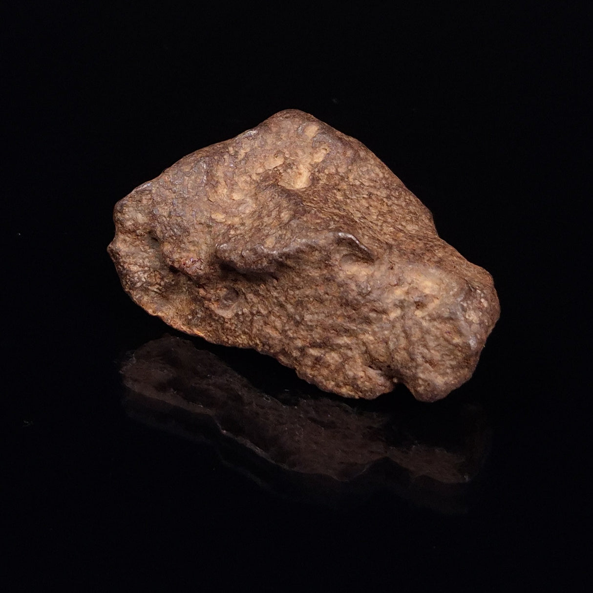 GEBEL KAMIL METEORITE, Egypt XGK010