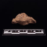 GEBEL KAMIL METEORITE, Egypt XGK010