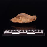 GEBEL KAMIL METEORITE, Egypt XGK011