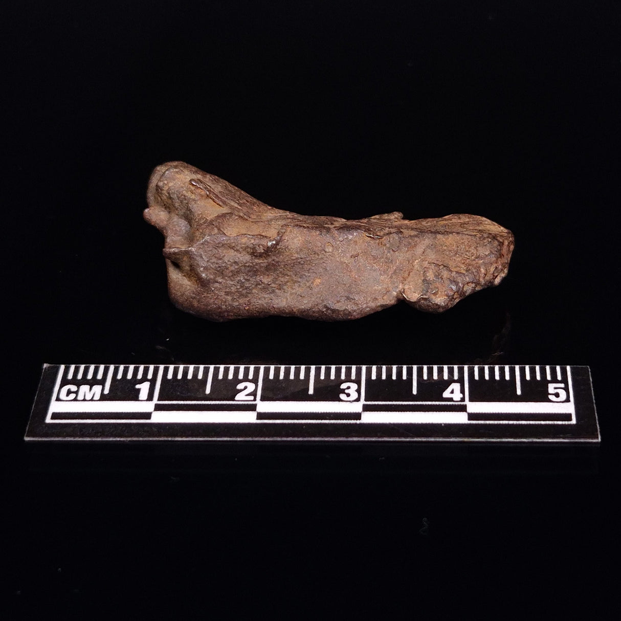 GEBEL KAMIL METEORITE, Egypt XGK012