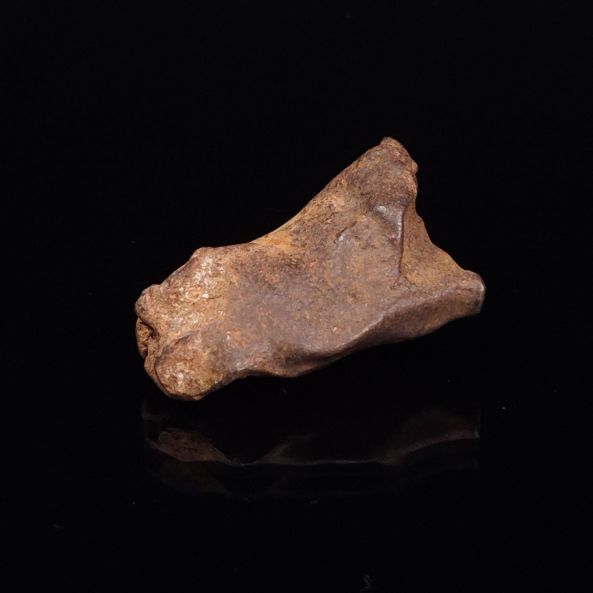 GEBEL KAMIL METEORITE, Egypt XGK013