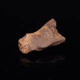GEBEL KAMIL METEORITE, Egypt XGK013
