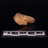 GEBEL KAMIL METEORITE, Egypt XGK013