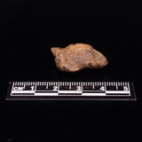 GEBEL KAMIL METEORITE, Egypt XGK014