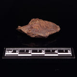 GEBEL KAMIL METEORITE, Egypt XGK015