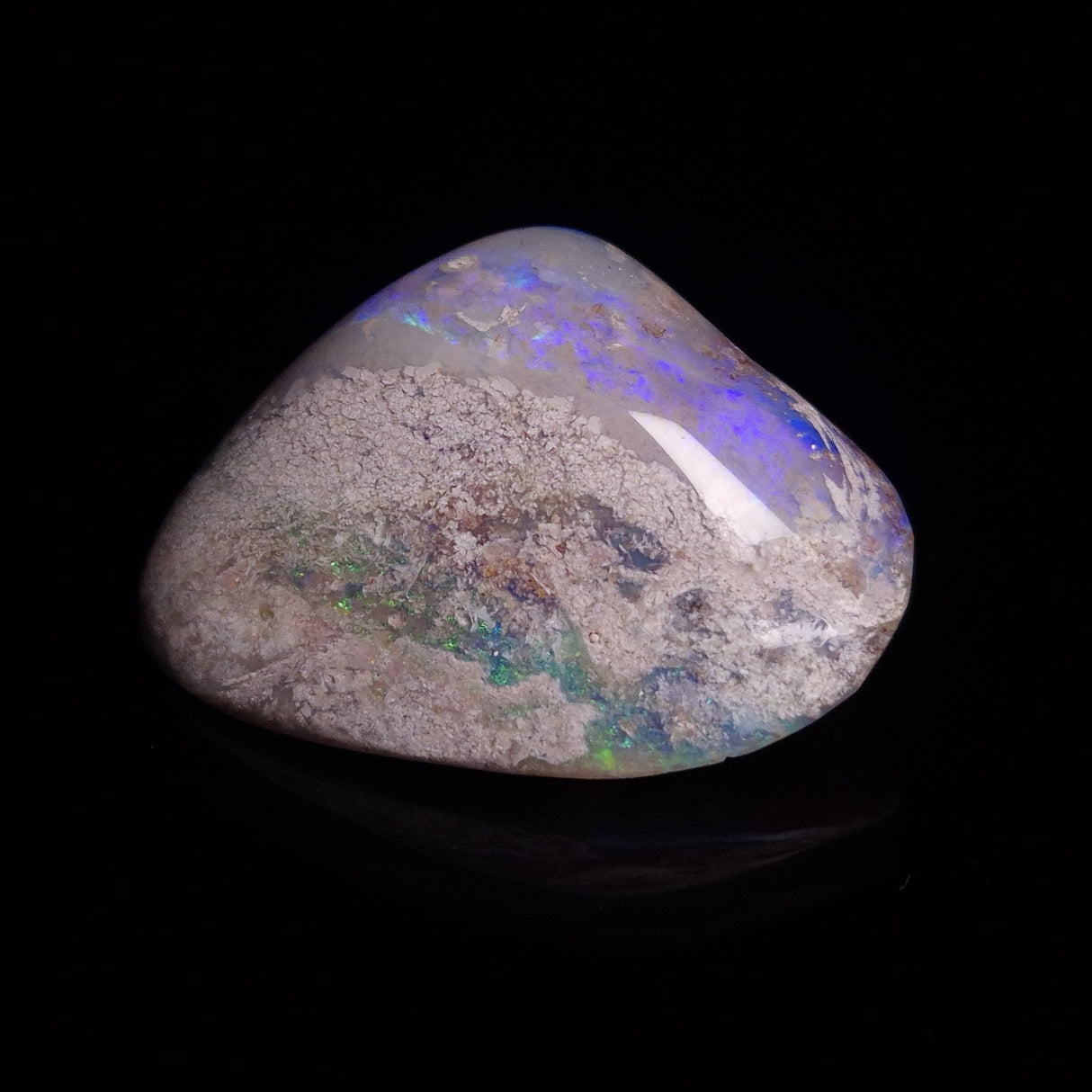OPAL SHELL CYRENOPSIS sp. Cretaceous, Australia YOS006