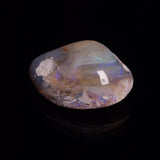 OPAL SHELL CYRENOPSIS sp. Cretaceous, Australia YOS007