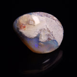 OPAL SHELL CYRENOPSIS sp. Cretaceous, Australia YOS007