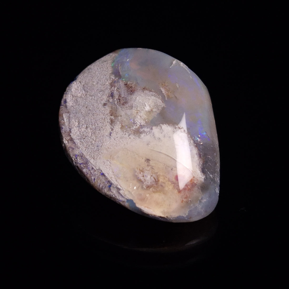 OPAL SHELL CYRENOPSIS sp. Cretaceous, Australia YOS007